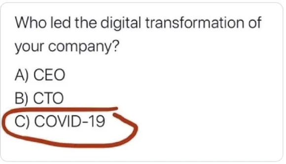 Who led your digital transformation strategy?