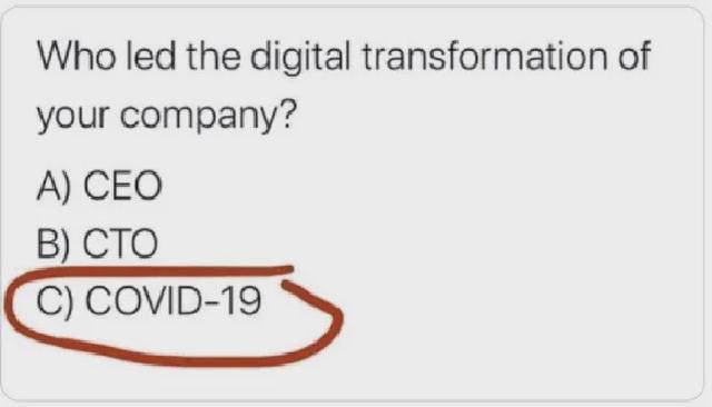 Who led your digital transformation strategy?
