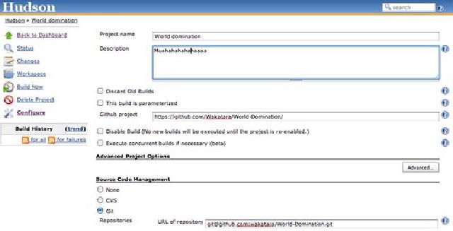 Hudson Project Config