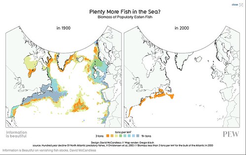 Plenty More Fish In The Sea?