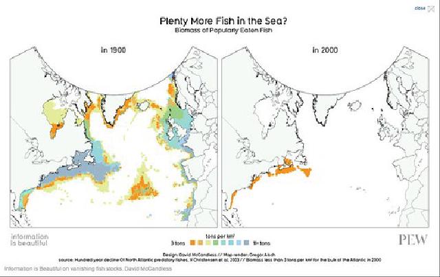 Plenty More Fish In The Sea?